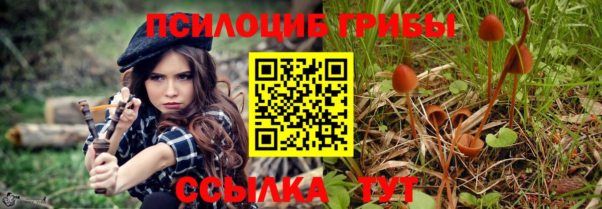 Псилоцибиновые грибы мицелий Озёрск