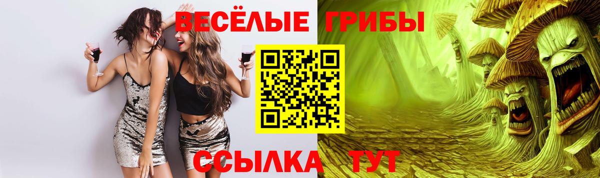 Псилоцибиновые грибы GOLDEN TEACHER  Галлюциногенные грибы Psilocybine cubensis  Вход с VPN  где продают наркотики  Озёрск 